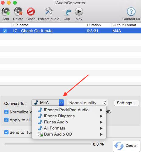 iaudioconverter