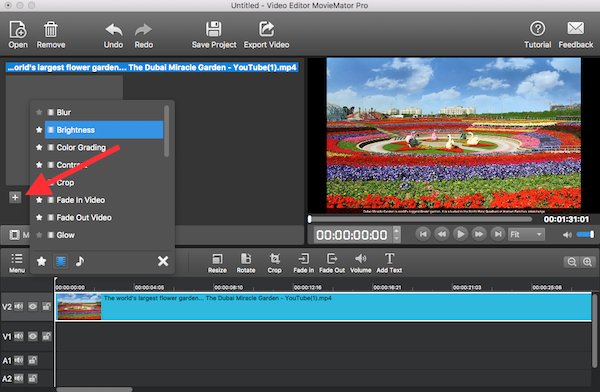 Video Editor MovieMator Pro