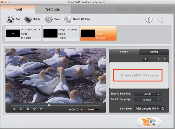 mac dvd creator subtitles
