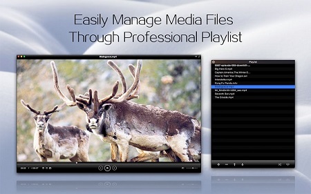 Play and Manage All Videos Effortlessly