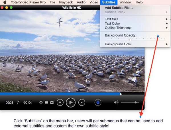 mac video player